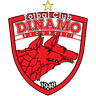 Dinamo Bucuresti